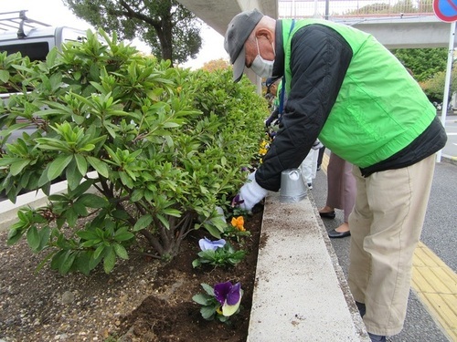 3:（画像）色とりどりに植えていきます