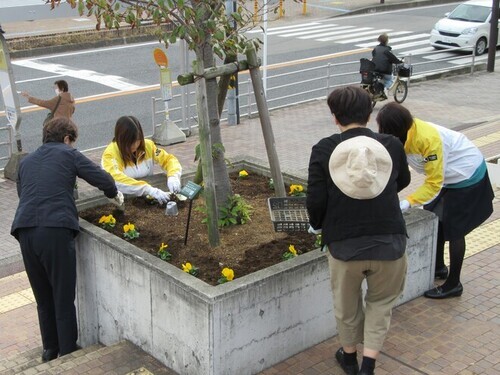 4:（画像）各花壇、手際よく作業が進みます
