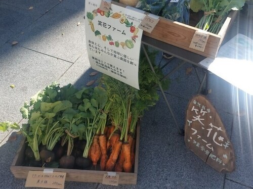 6:（画像）個性豊かなお野菜が並びました（26日）