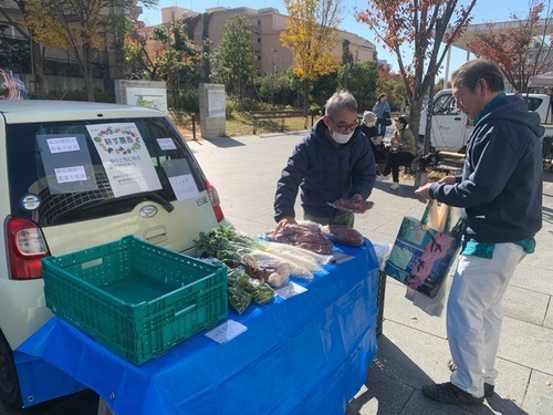 8:（画像）新鮮な野菜が並びました（26日）