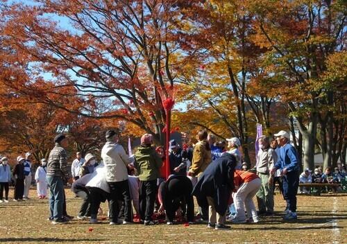 4:（画像）一つでも多く、かごに放ります