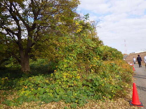 2:（画像）作業前の様子