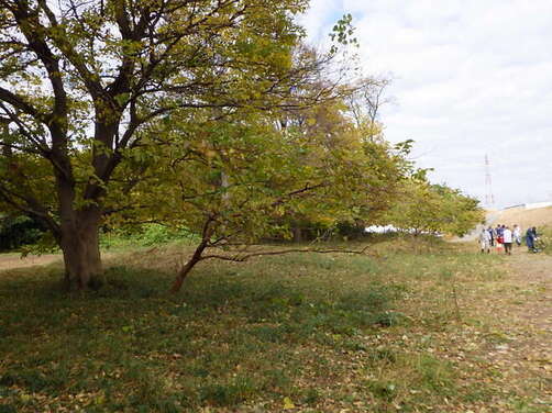 3:（画像）作業後の様子