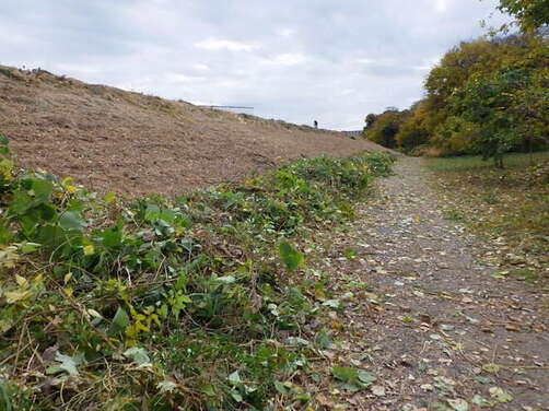 4:（画像）寒い中、皆で力を合わせて保全作業を行いました！