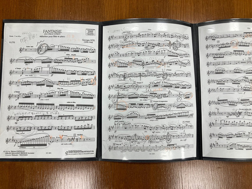 5:（画像）楽譜(FANTASIE)