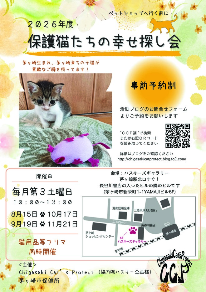 006_A3：保護猫たちの幸せ探し会