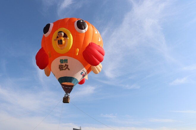 佐久市のキャラクター鯉太郎の形の気球が飛んでいる