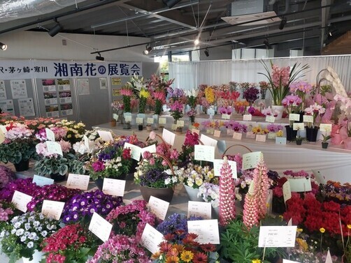 1:（画像）221点ものお花が勢ぞろい