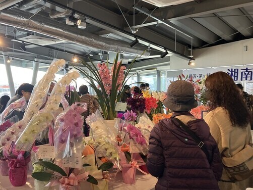 6:(画像)たくさんのお客さんで賑わいました