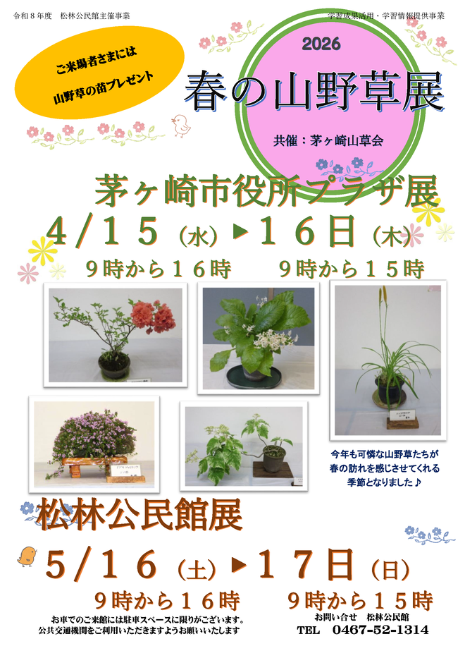 春の山野草展イラスト