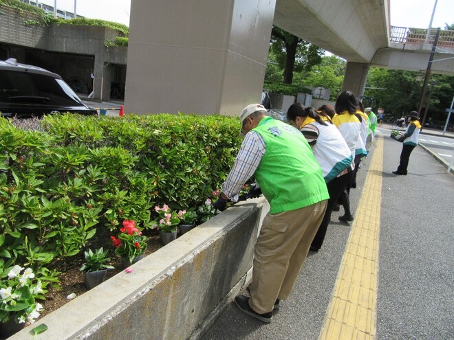 (画像）老人クラブ、茅ヶ崎市文化会館、明治安田生命の皆様が協働して作業を行いました