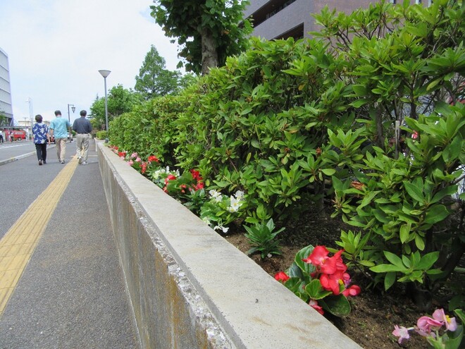 (画像）文化会館の花壇が華やかに彩られました