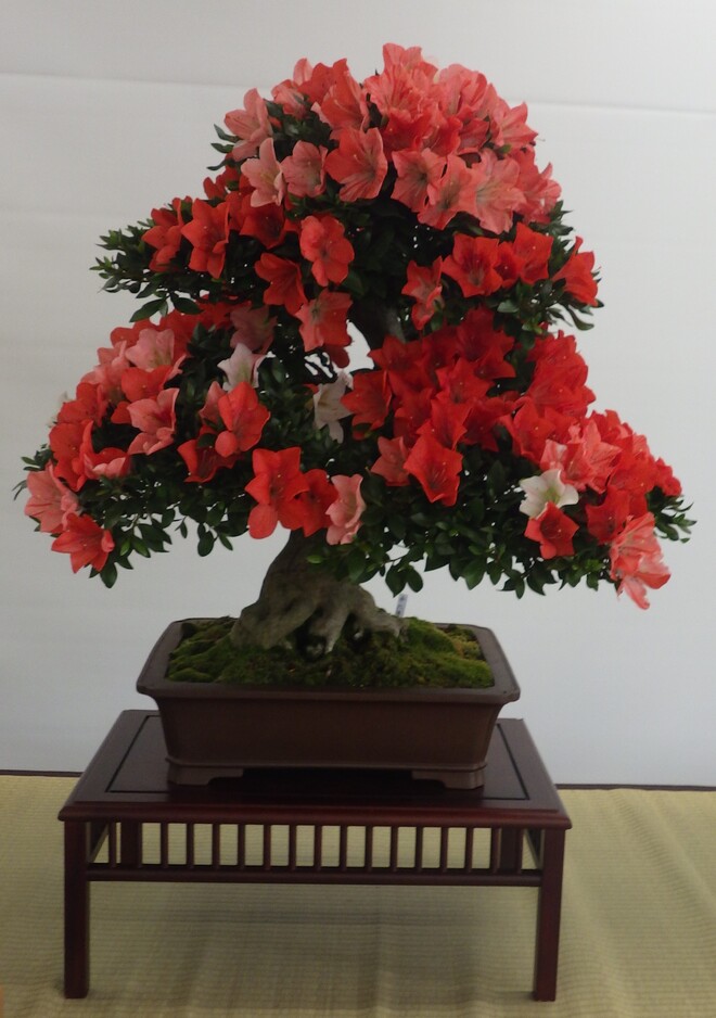 (画像)豪華の一言