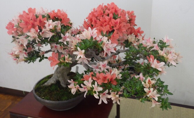 (画像）こちらも風を感じます