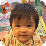 はやし はると