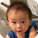 きのした めぐる
