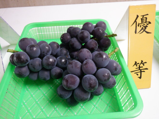（画像）優等賞の小西農園のぶどう「藤稔」