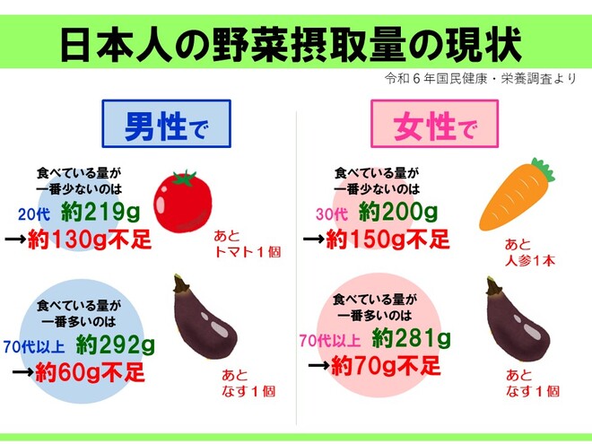 日本人の野菜摂取量の現状