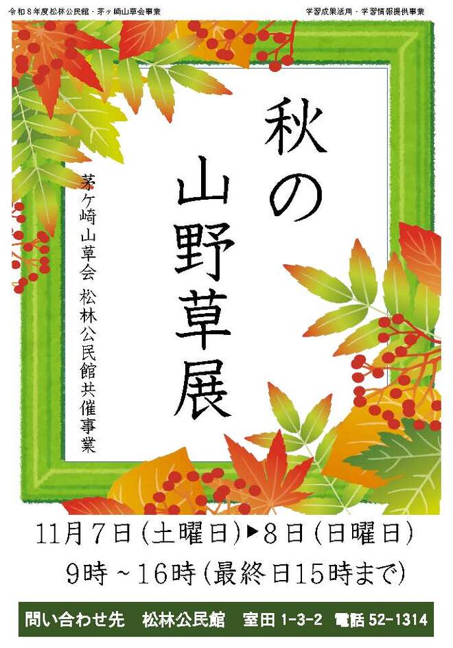 秋の山野草展イラスト