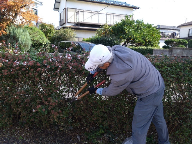 (画像）植え込みの中も丁寧に手入れしました