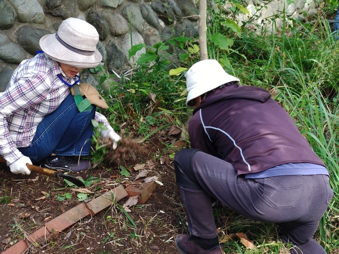 (画像)声を掛け合いながら、草取りや植木の手入れを進めます